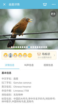 影音视听