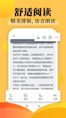 小说阅读
