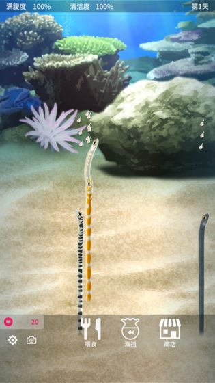 养育花园鳗的治愈游戏官方中文版