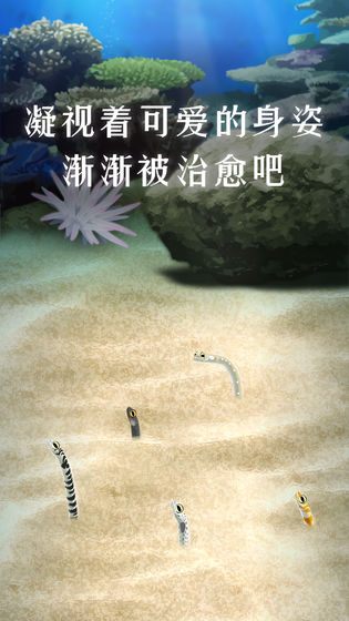 养育花园鳗的治愈游戏官方中文版
