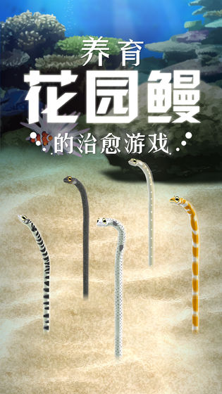 养育花园鳗的治愈游戏官方中文版
