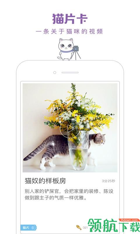 通讯社交