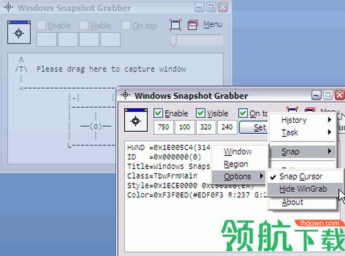 Windows Snapshot Grabber免费版