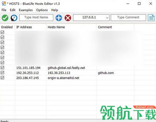 BlueLife Hosts Editor绿色版