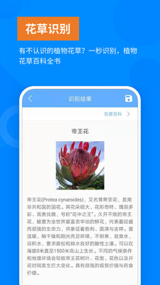 效率办公