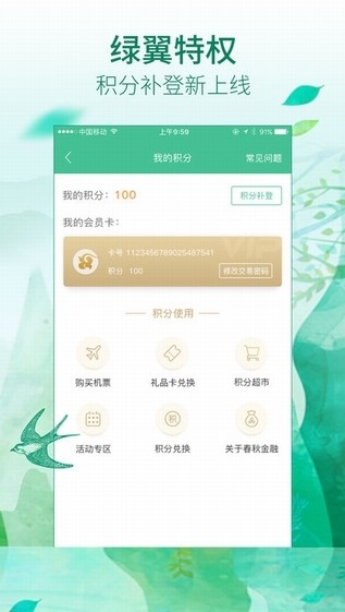 航空服务
