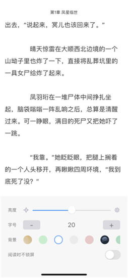 小说阅读