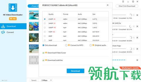 Jihosoft 4K Video Downloader Pro破解版