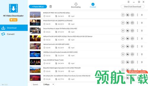 Jihosoft 4K Video Downloader Pro破解版