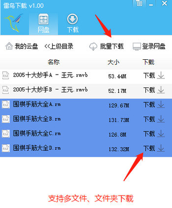 雷鸟下载器