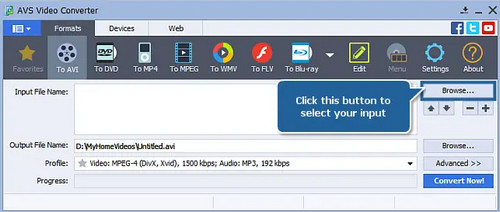 AVS Video Converter破解版