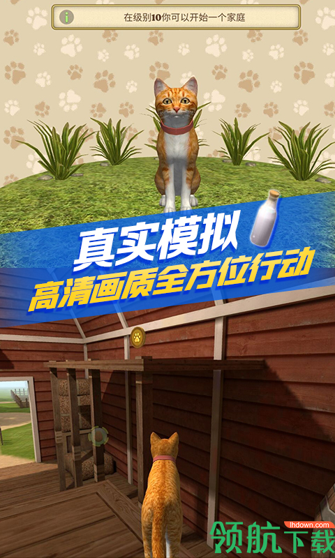 猫咪生存模拟器破解版