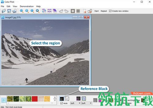 Color Pilot破解版