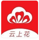 云杉花直播app免费观看最新安卓破解版