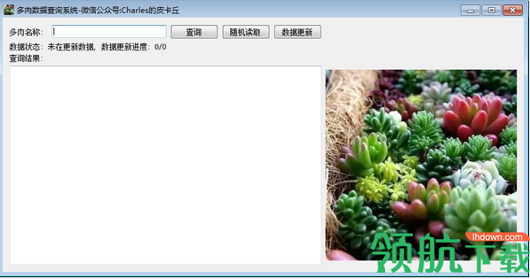 多肉数据查询系统绿色官方版