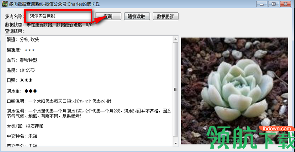 多肉数据查询系统绿色官方版