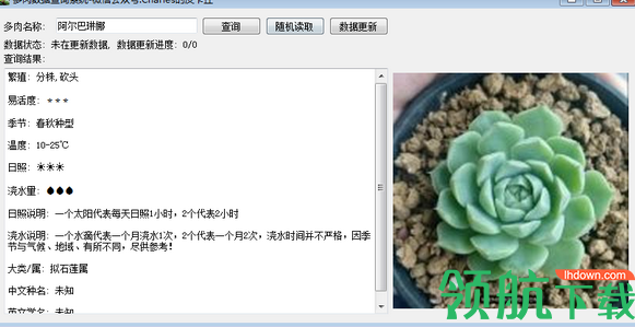 多肉数据查询系统绿色官方版
