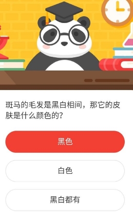 斑马毛发是黑白相间它皮肤是啥颜色 2020森林驿站8月10日答案