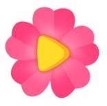 紫罗兰直播app最新版