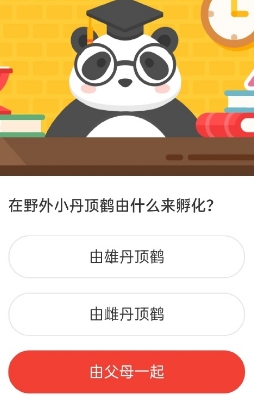 在野外小丹顶鹤由什么来孵化 2020森林驿站8.27日答案