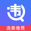 查违章12123安卓官方版