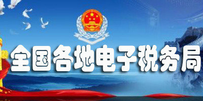 2020国家各地电子税务局合集