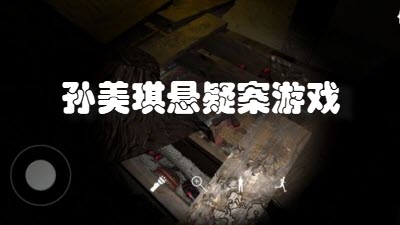 孙美琪悬疑案游戏合集