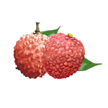 增城泊车app手机版停车管家