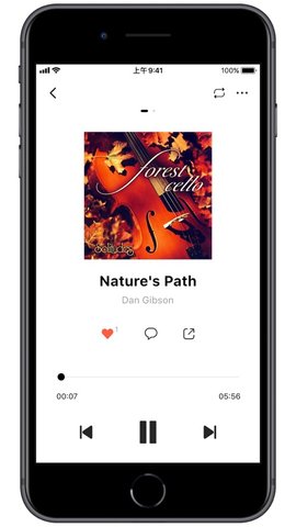 SongTaster苹果版