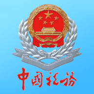 四川网上税务局app发票查验
