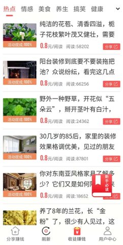 鹦鹉网