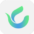 绿茶交友app官方版