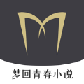 梦回青春小说正式版