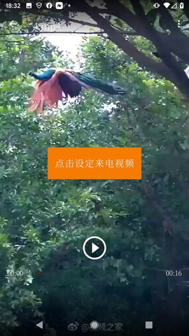16f5fbb8f8001321_600_0_270x480