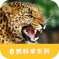 动物世界手游中文版