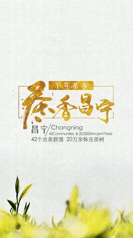 茶香昌宁客户端最新版