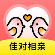 佳对app安卓版
