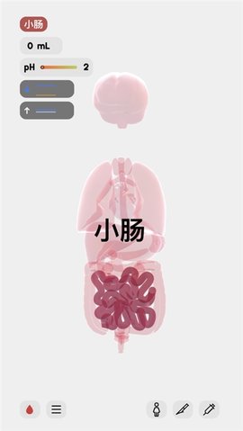 生命人体模拟器手机版