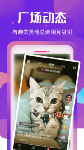 恋爱2021最新版本下载