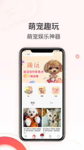相宠(宠物相亲）APP安卓版