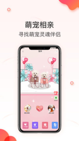 相宠(宠物相亲）APP安卓版