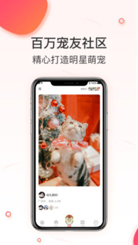 相宠(宠物相亲）APP安卓版