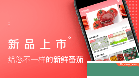 番茄生活社区App