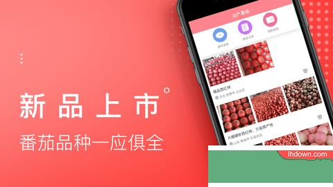 番茄生活社区App官方版