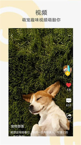 我爱它它宠物乐园app最新版