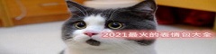 2021最火的表情包大全