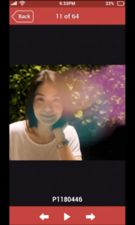 失踪的萨拉