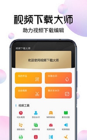 视频下载大师app官方版