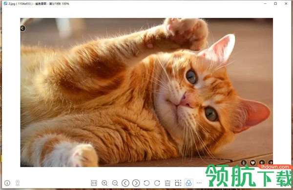 鲨鱼看图软件绿色正式版