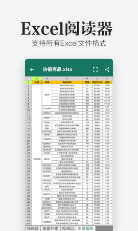 秦网excel查看器app免费版